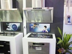 家麗雅亮相2010順德家電展 廚衛(wèi)家電引領(lǐng)智能生活新風尚